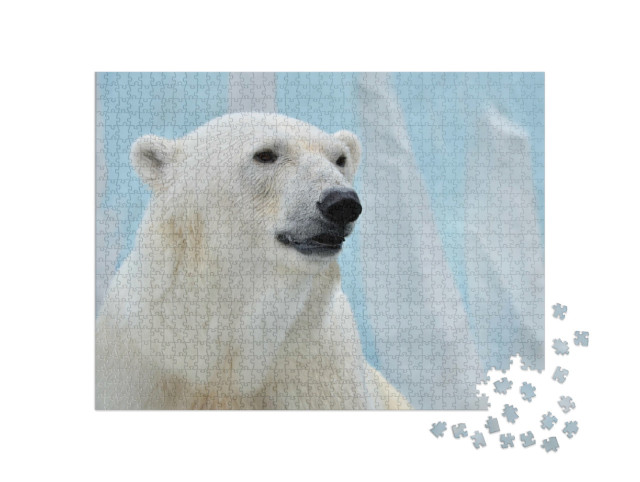 Puzzle 1000 pezzi „Ritratto di un orso polare“