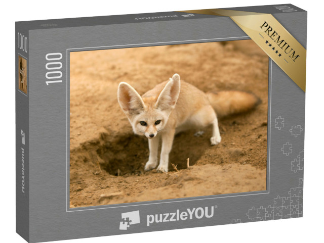 Puzzle 1000 pezzi „Volpe Fennek in guardia“