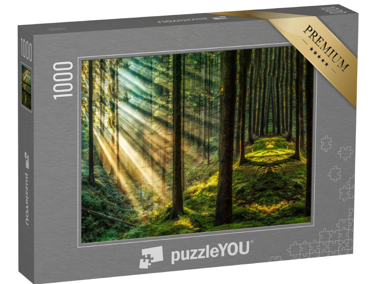Puzzle 1000 pezzi „Foresta oscura con raggi di sole“