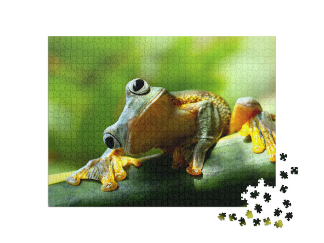 Puzzle 1000 pezzi „Rana curiosa“