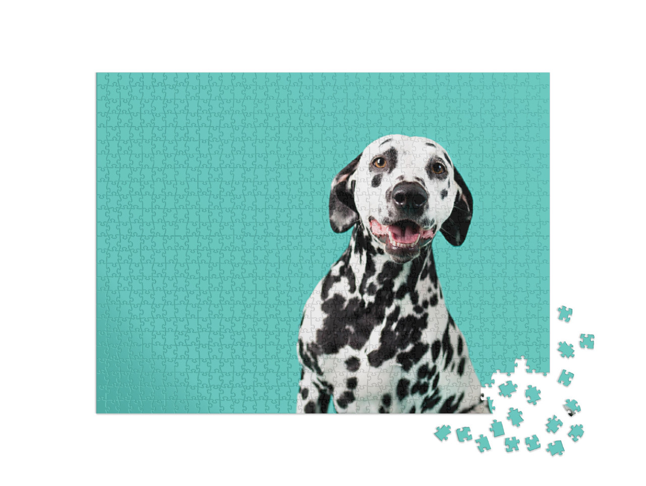 Puzzle 1000 pezzi „Dalmata“