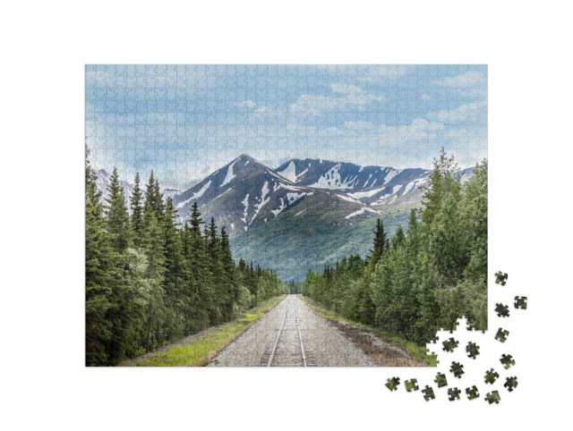 Puzzle 1000 pezzi „Linea ferroviaria nel Parco Nazionale di Denali, Alaska“
