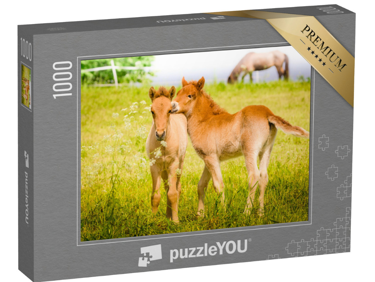 Puzzle 1000 pezzi „Puledri che giocano nel prato“