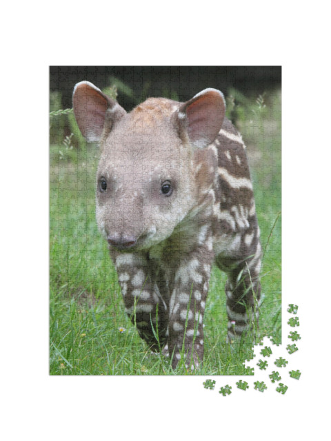 Puzzle 1000 pezzi „Tapiro nell'erba verde“