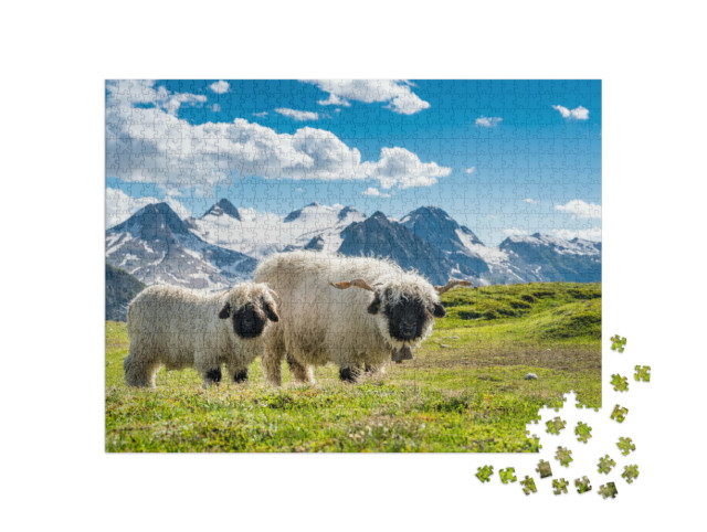 Puzzle 1000 pezzi „Pecore dal naso nero vallesane sul Passo della Novena in Vallese“