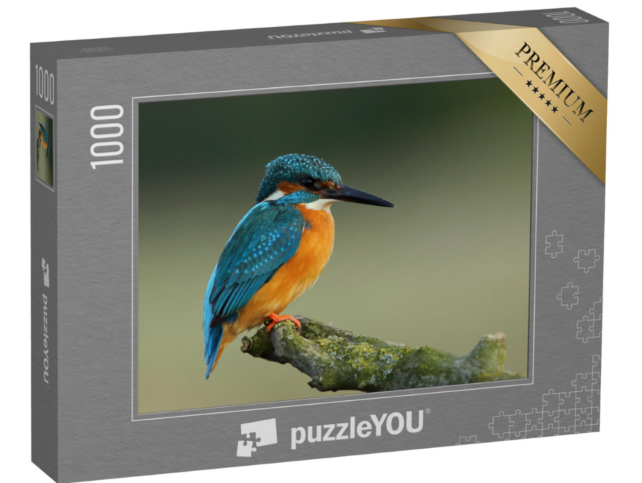 Puzzle 1000 pezzi „Martin pescatore, Alcedo atthis“