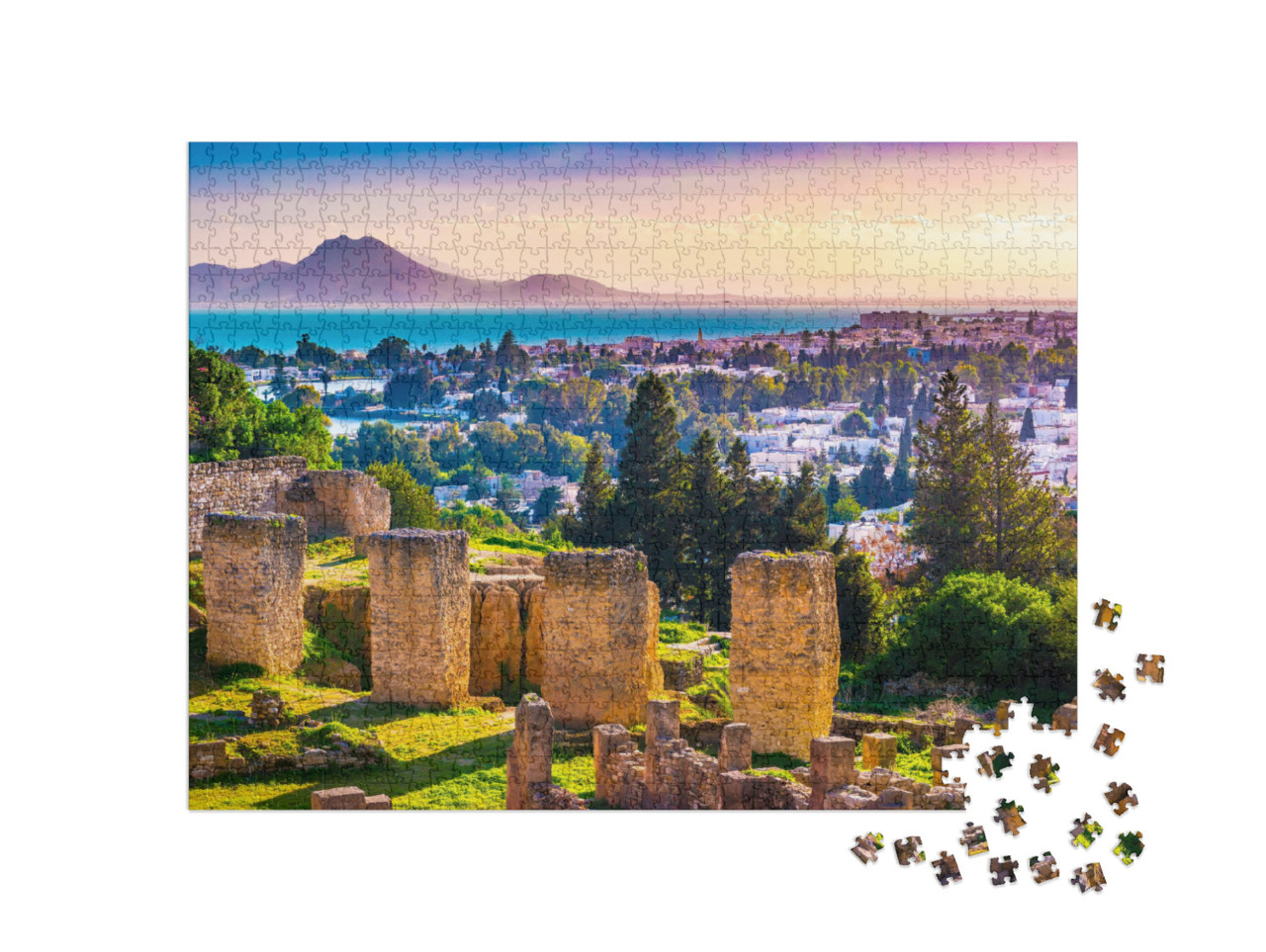 Puzzle 1000 pezzi „Resti di Cartagine: vista dalla collina di Byrsa, Tunisia“