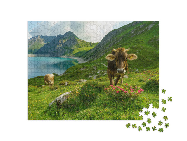Puzzle 1000 pezzi „Mucca felice in alpeggio“