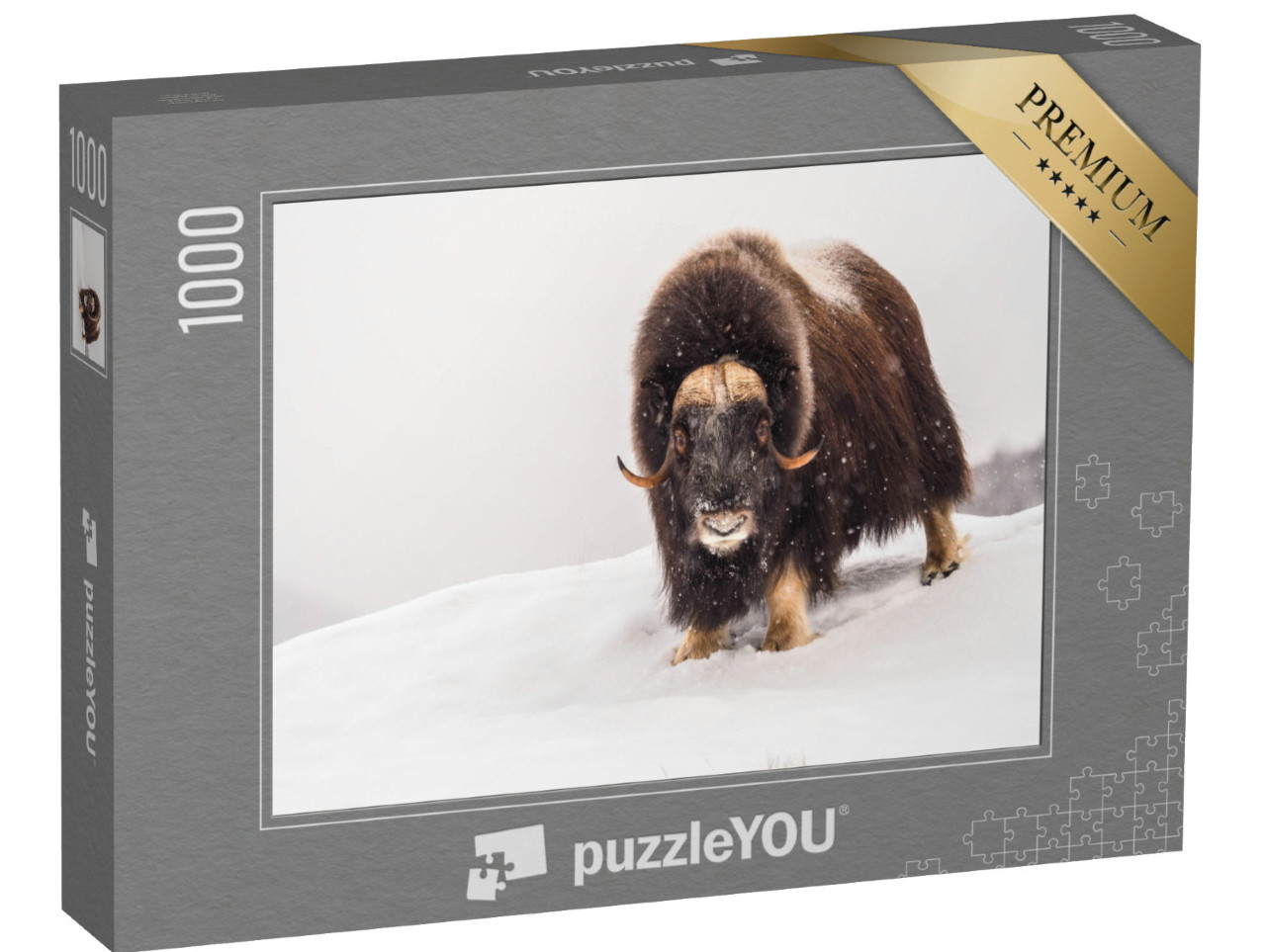 Puzzle 1000 pezzi „Bue muschiato nell'inverno artico“