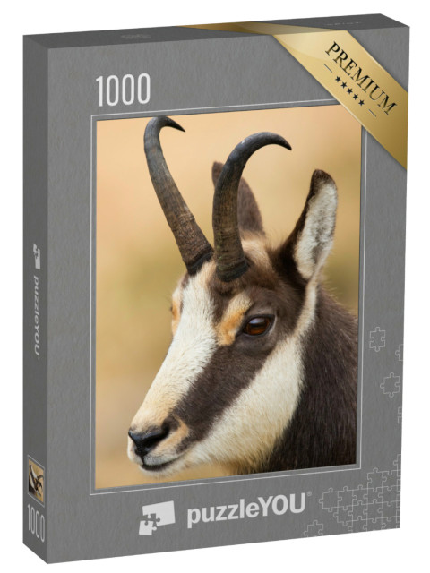 Puzzle 1000 pezzi „Ritratto di un attento camoscio di Tatra“