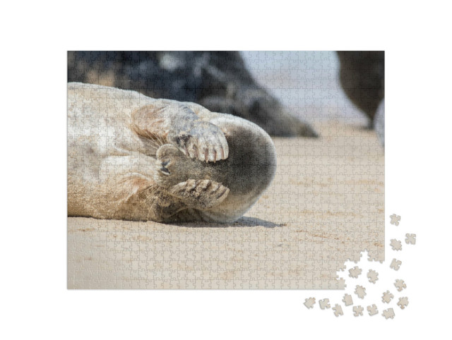 Puzzle 1000 pezzi „Dov'è la piccola foca?“