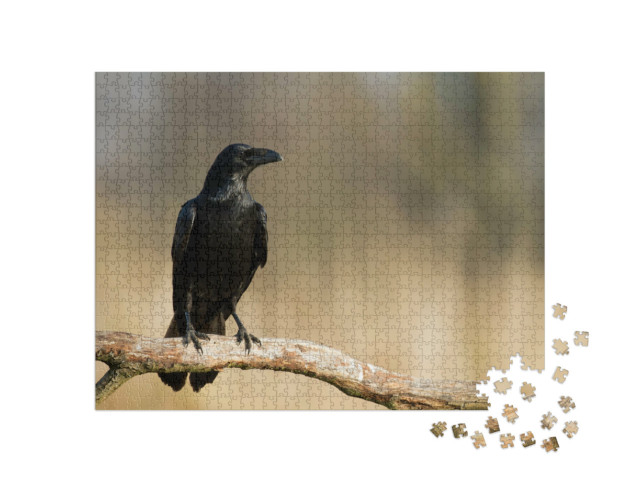 Puzzle 1000 pezzi „Corvo su un ramo“