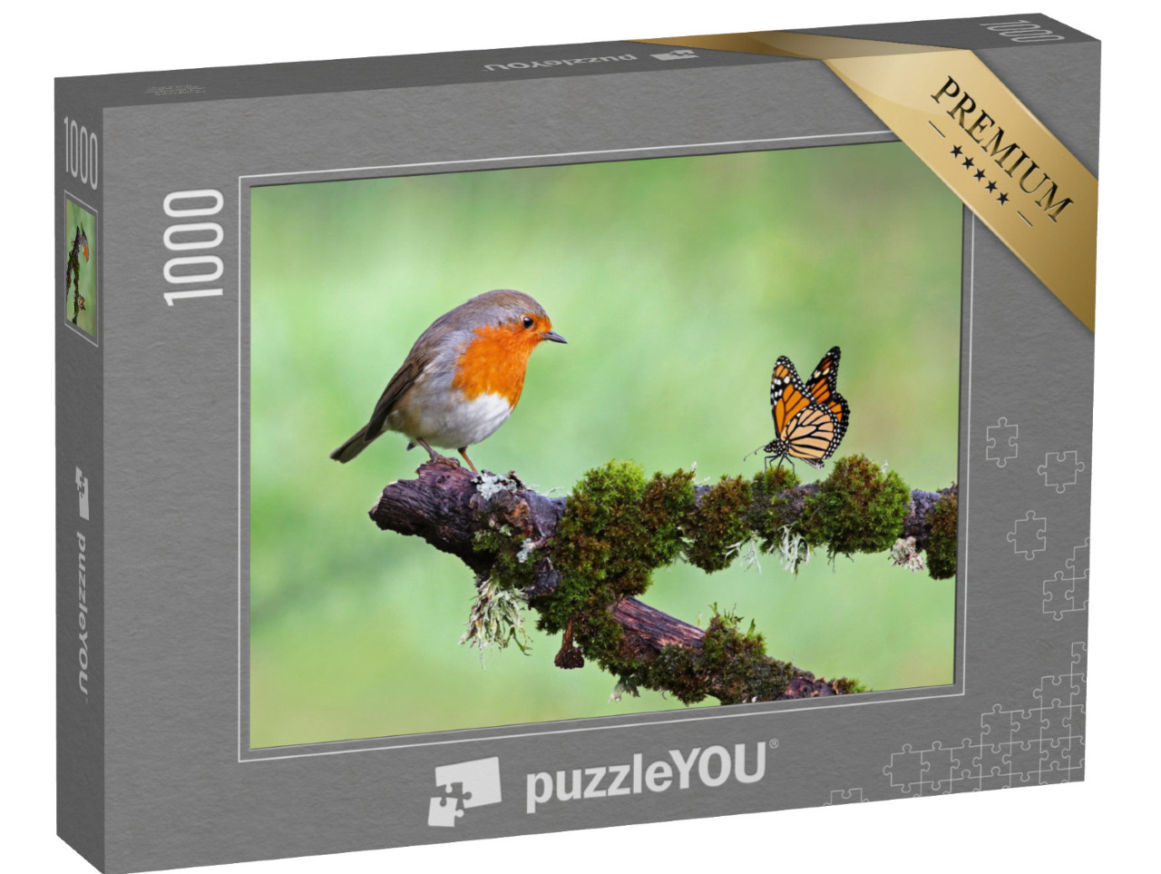 Puzzle 1000 pezzi „Pettirosso e farfalla“