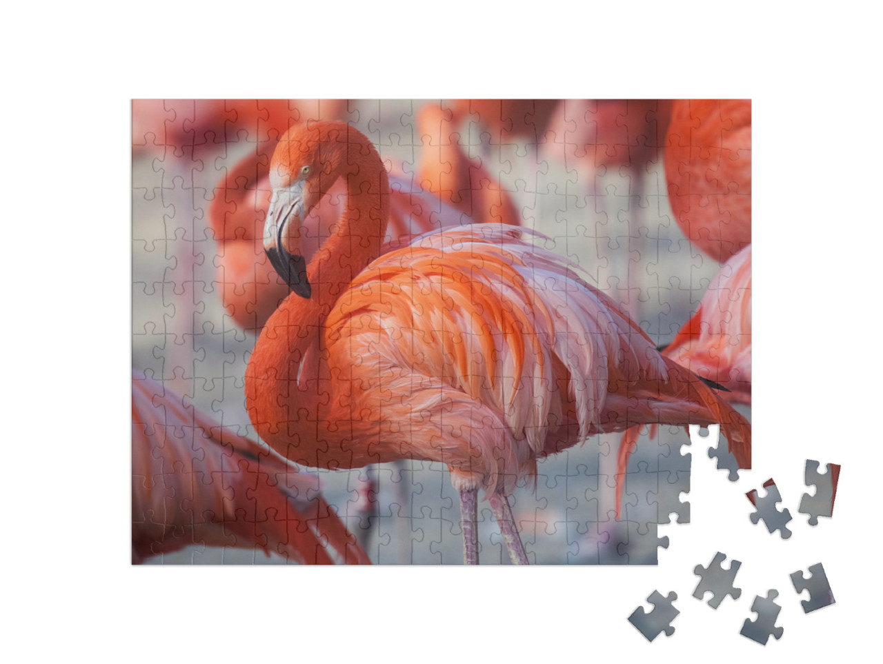 Puzzle 200 pezzi „Fenicotteri rosa“