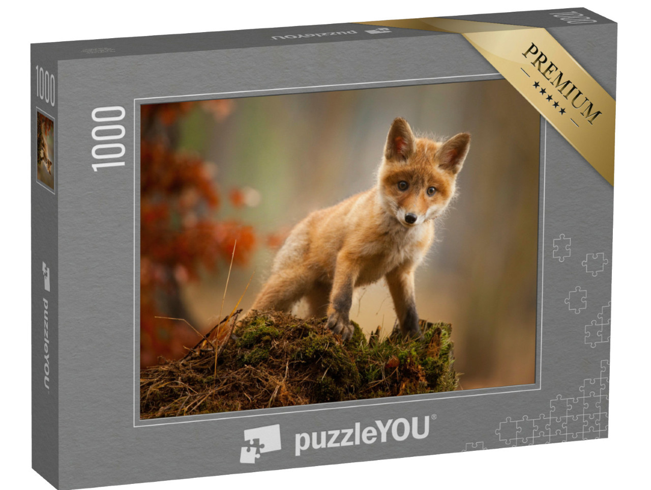 Puzzle 1000 pezzi „Una giovane volpe“