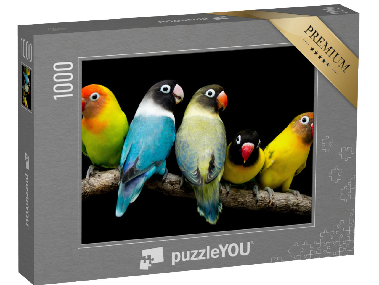 Puzzle 1000 pezzi „Pappagallo dai magnifici colori“