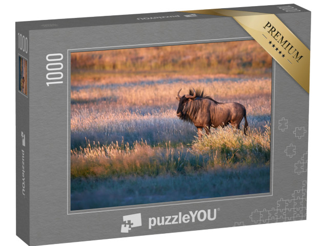 Puzzle 1000 pezzi „Gnu blu nella luce serale della savana del Kalahari“