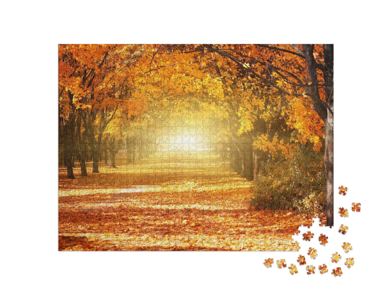 Puzzle 1000 pezzi „Viale degli alberi d'autunno dorati“