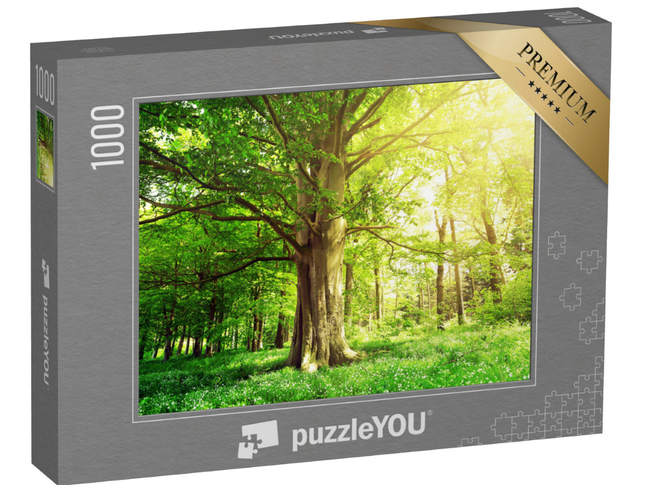 Puzzle 1000 pezzi „Foresta di faggi con un vecchio albero alla luce del sole“