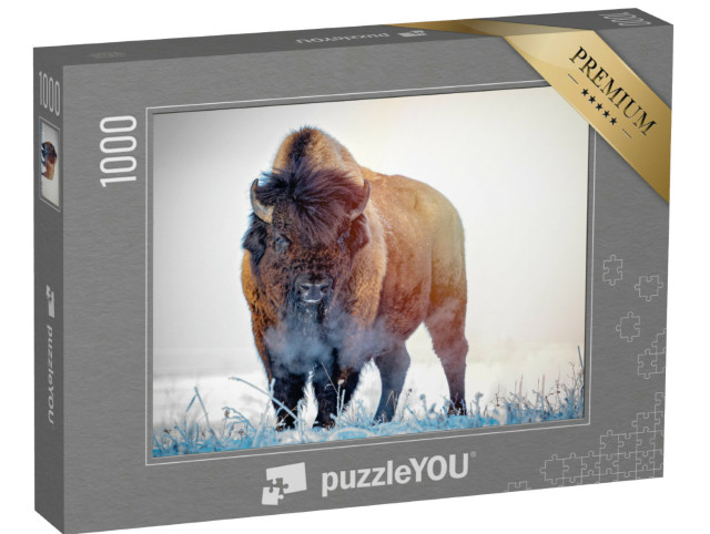 Puzzle 1000 pezzi „Bisonte della prateria in una mattina d'inverno“
