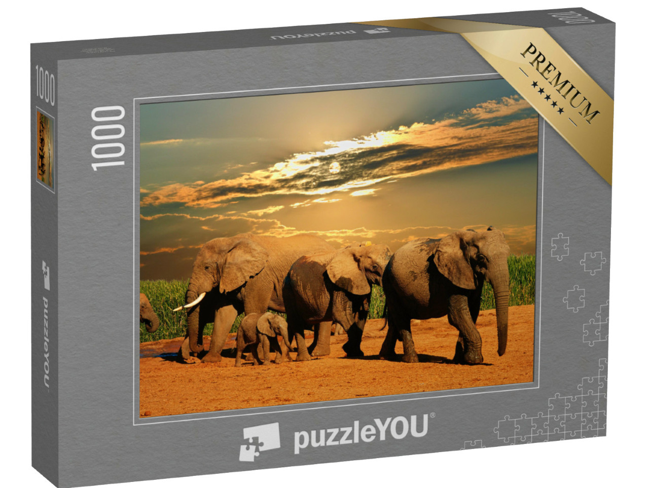 Puzzle 1000 pezzi „Branco di elefanti africani, Parco Nazionale Addo Elephant, Sudafrica“