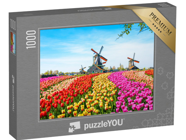 Puzzle 1000 pezzi „Paesaggio con tulipani e mulini a vento, Paesi Bassi“