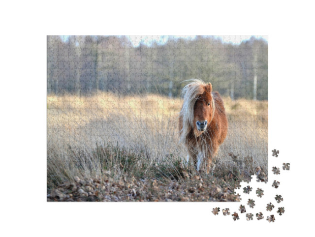 Puzzle 1000 pezzi „Bellissimo pony“