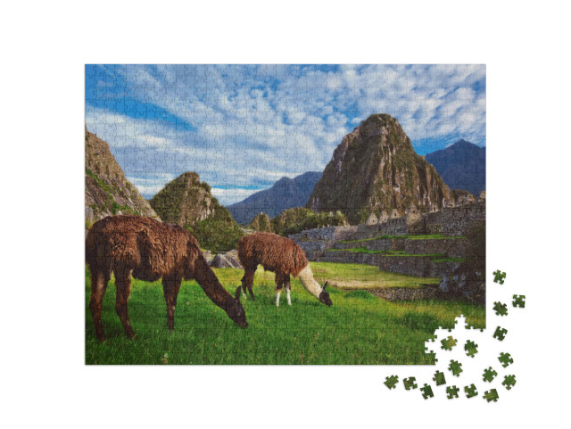 Puzzle 1000 pezzi „Due lama nella cittadella Inca di Machu Picchu“