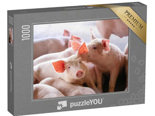 Puzzle 1000 pezzi „I maialini della fattoria“