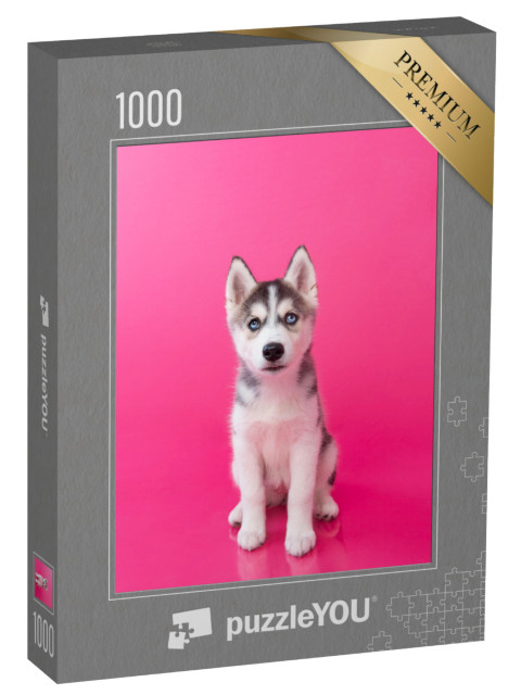 Puzzle 1000 pezzi „Cucciolo di Husky davanti a uno sfondo rosa“