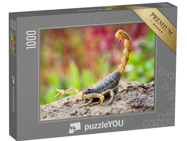 Puzzle 1000 pezzi „Scorpione in posizione di attacco“