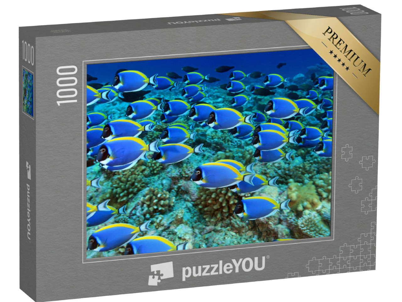 Puzzle 1000 pezzi „Banco di pesci chirurgo nella barriera corallina“