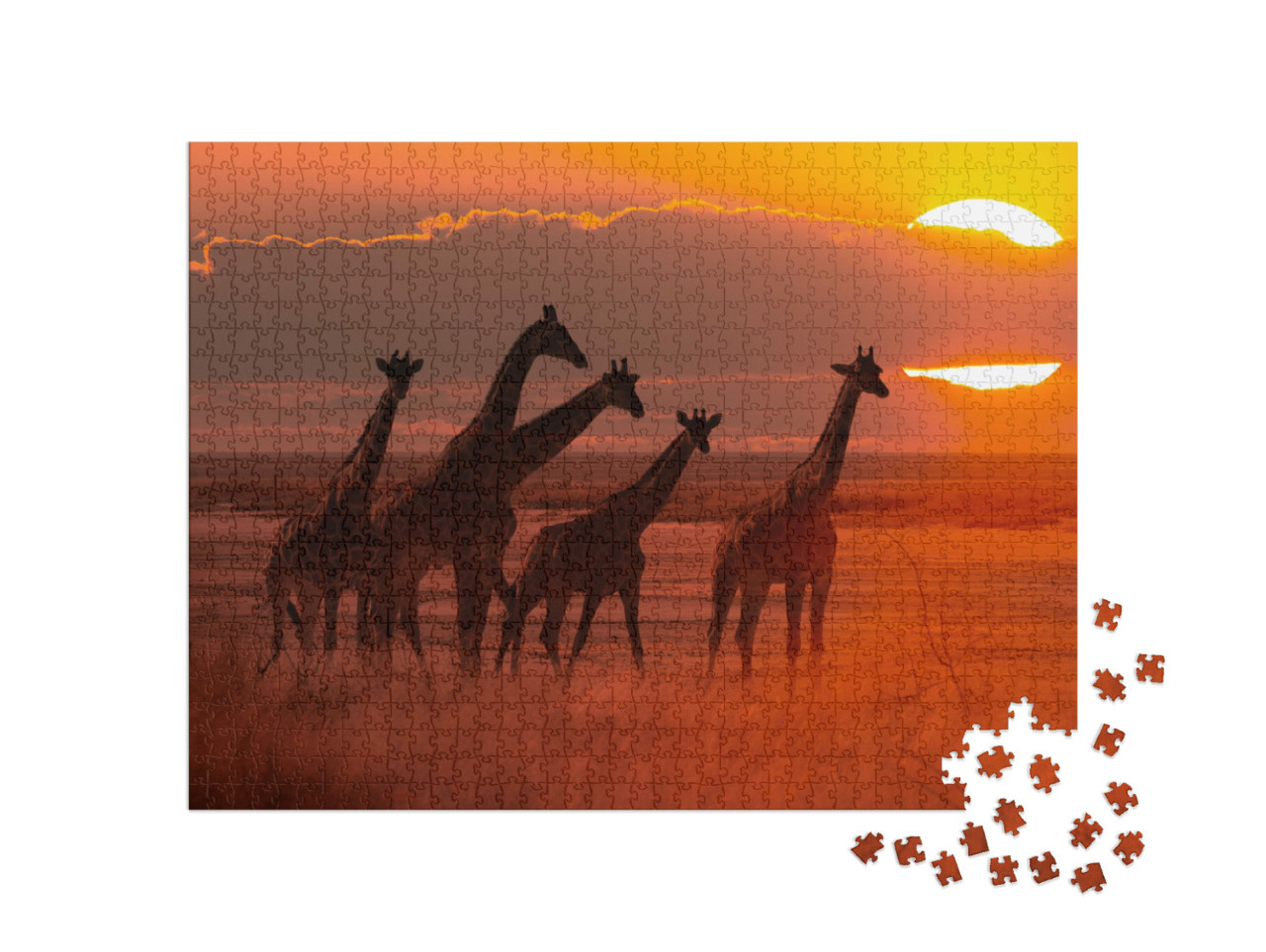 Puzzle 1000 pezzi „Branco di giraffe al tramonto, savana africana“