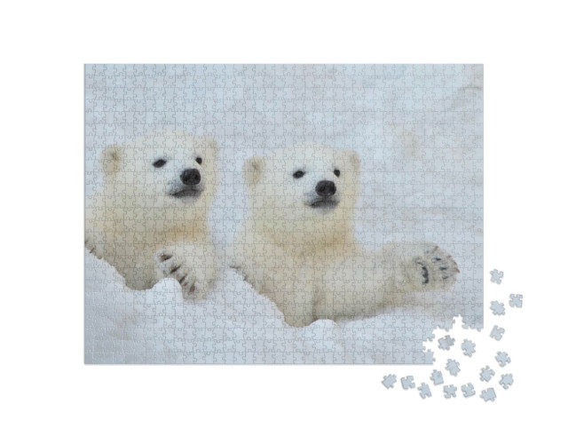 Puzzle 1000 pezzi „Due cuccioli di orso polare bianco nella neve“