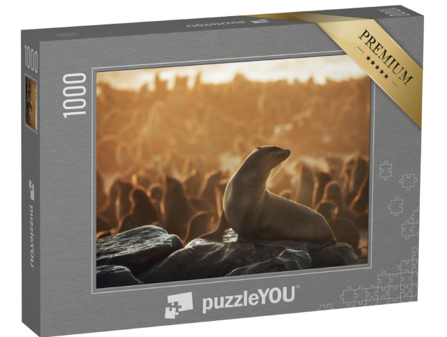 Puzzle 1000 pezzi „Le foche nella riserva di Cape Cross nell'Atlantico meridionale, Namibia“