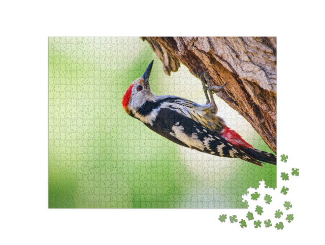 Puzzle 1000 pezzi „Un picchio su un albero“