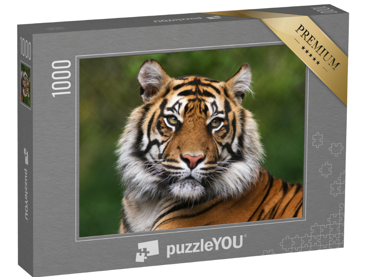 Puzzle 1000 pezzi „Ritratto di una tigre del Bengala“