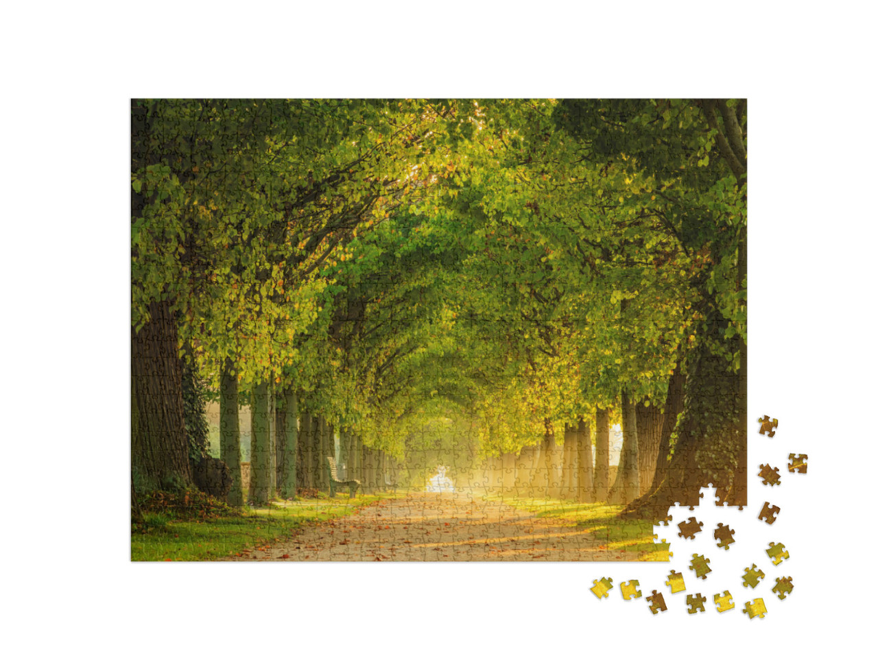 Puzzle 1000 pezzi „Un parco al sorgere del sole con un viale di tigli“