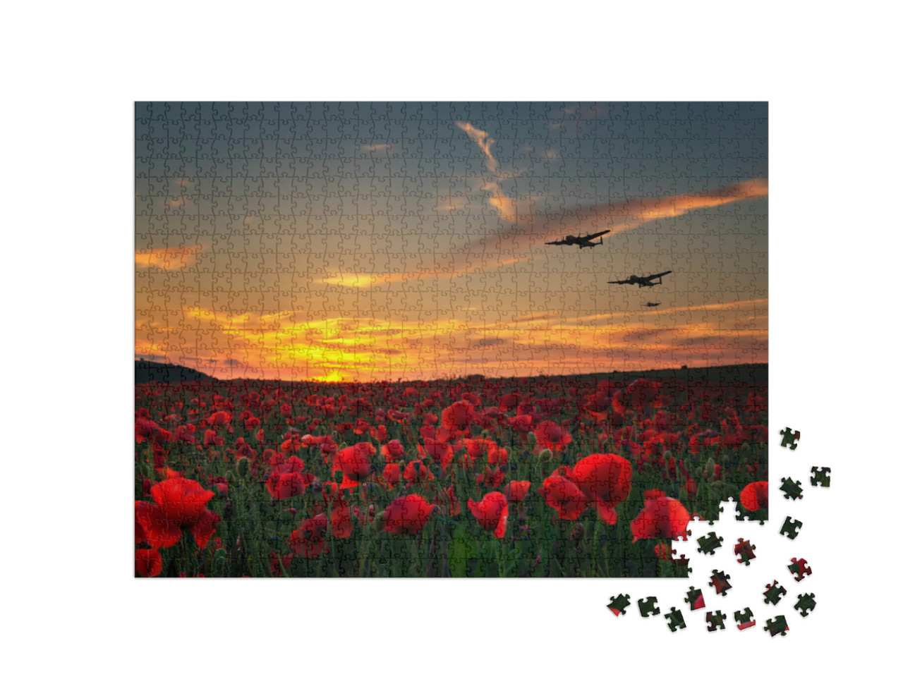 Puzzle 1000 pezzi „Giornata della Memoria“