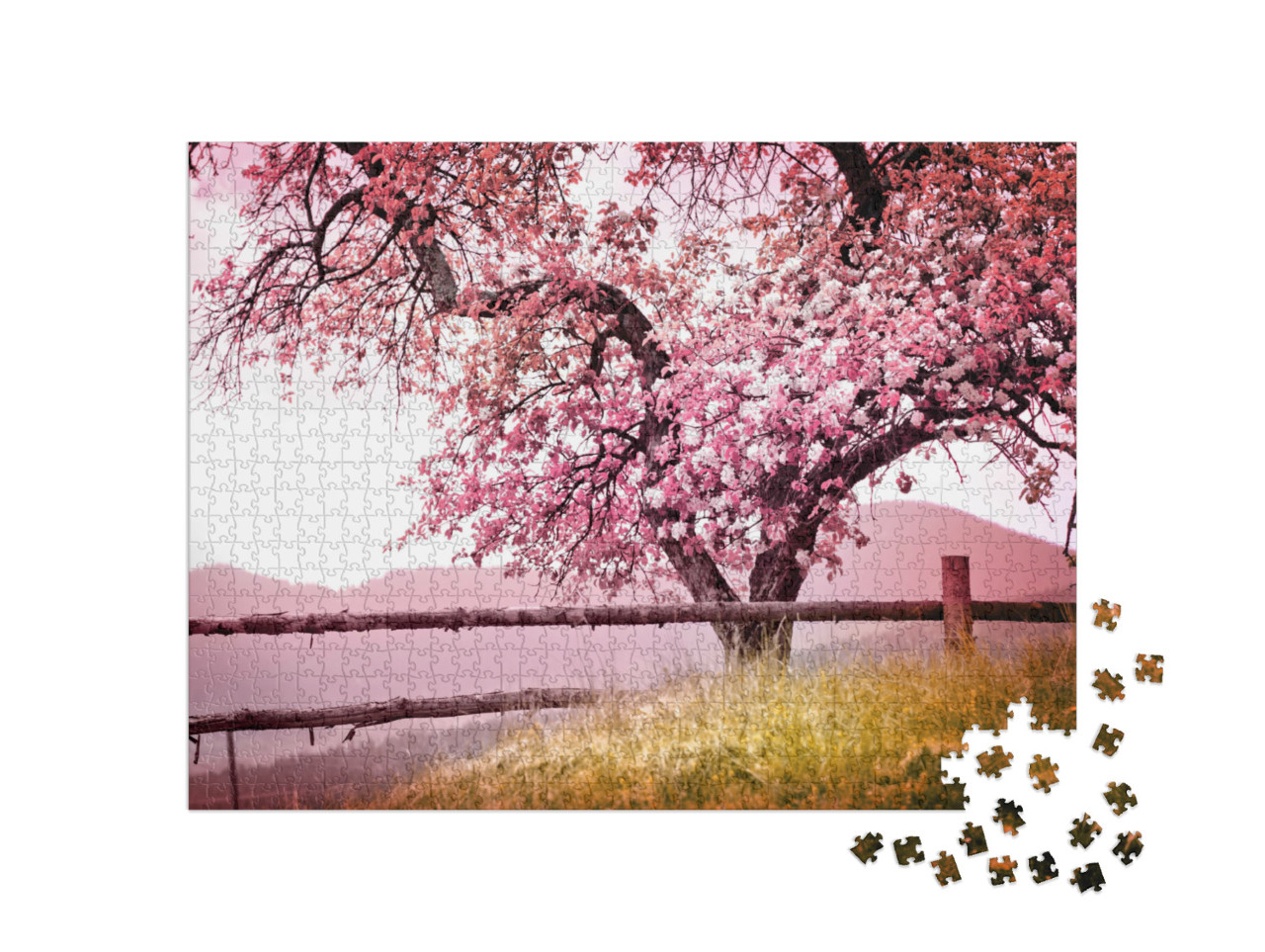 Puzzle 1000 pezzi „Un antico albero in montagna, in splendida fioritura“