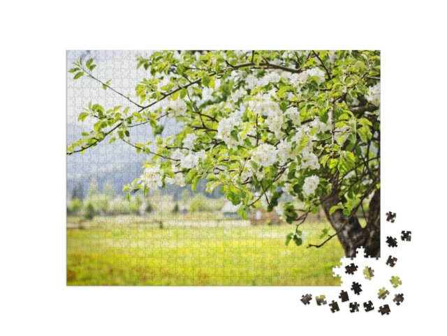 Puzzle 1000 pezzi „Melo in fiore“