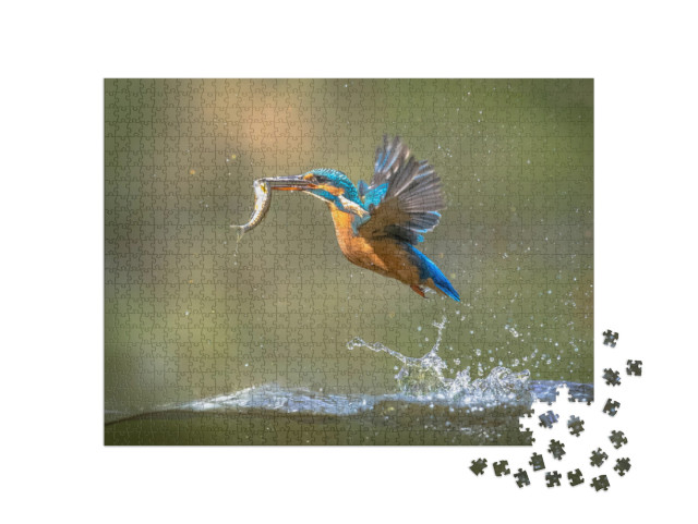 Puzzle 1000 pezzi „Emerge il martin pescatore con il pesce nel becco“