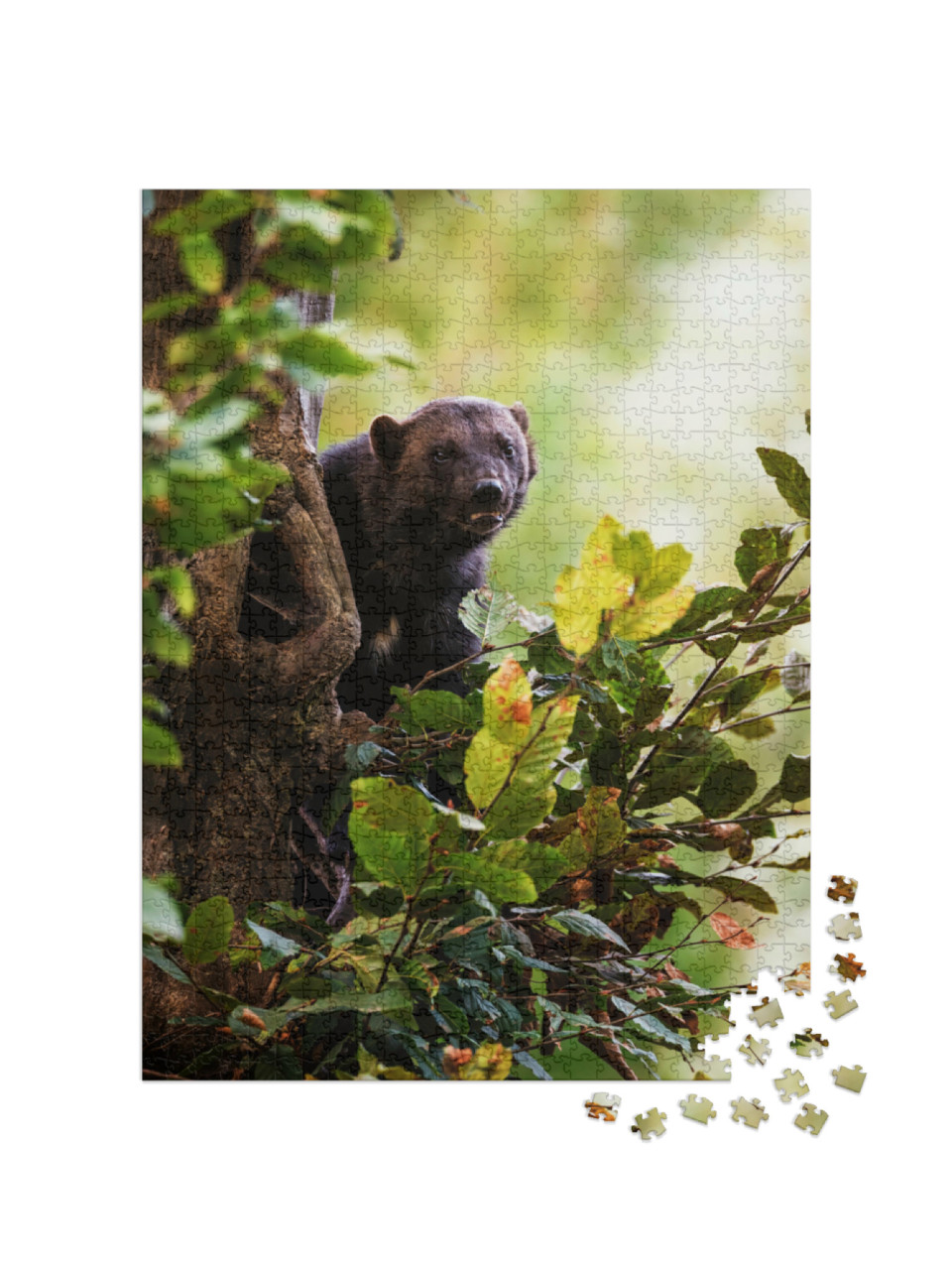 Puzzle 1000 pezzi „Un ghiottone si arrampica su un albero“