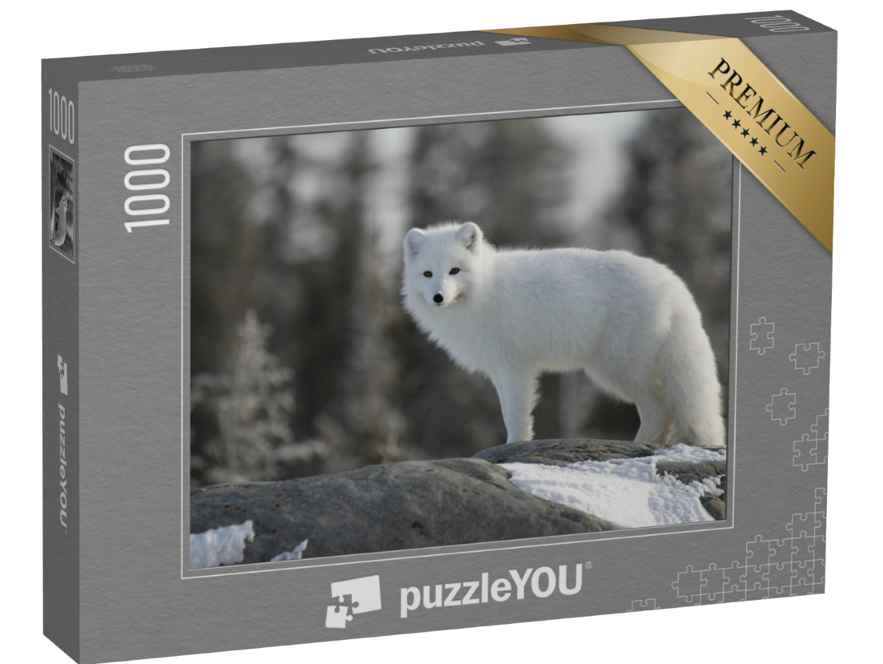 Puzzle 1000 pezzi „Volpe artica in Canada“