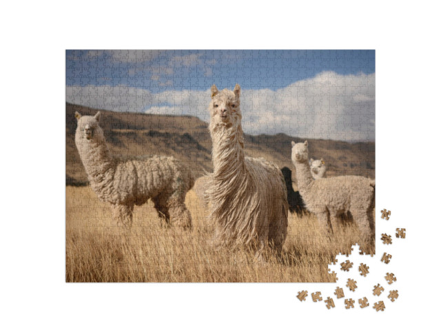 Puzzle 1000 pezzi „Alpaca nelle Ande peruviane“