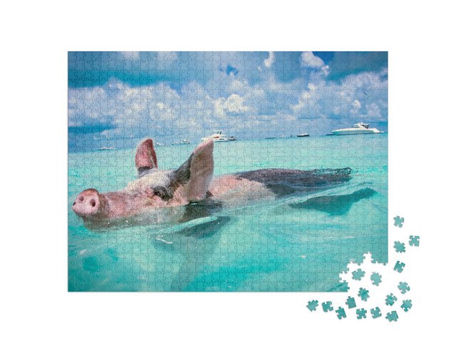 Puzzle 1000 pezzi „I maiali nuotatori delle Bahamas“