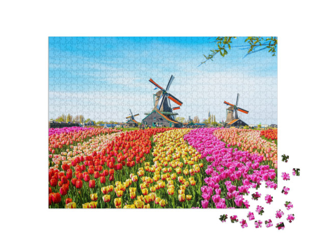 Puzzle 1000 pezzi „Paesaggio con tulipani e mulini a vento, Paesi Bassi“