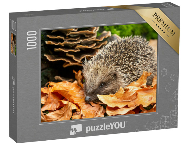 Puzzle 1000 pezzi „Un simpatico riccio tra le foglie d'autunno“