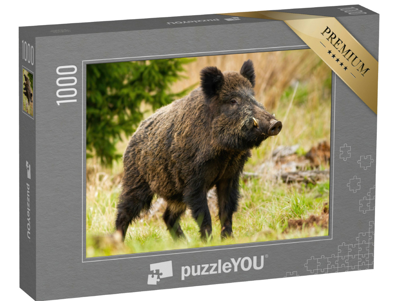 Puzzle 1000 pezzi „Un cinghiale con zanne bianche“