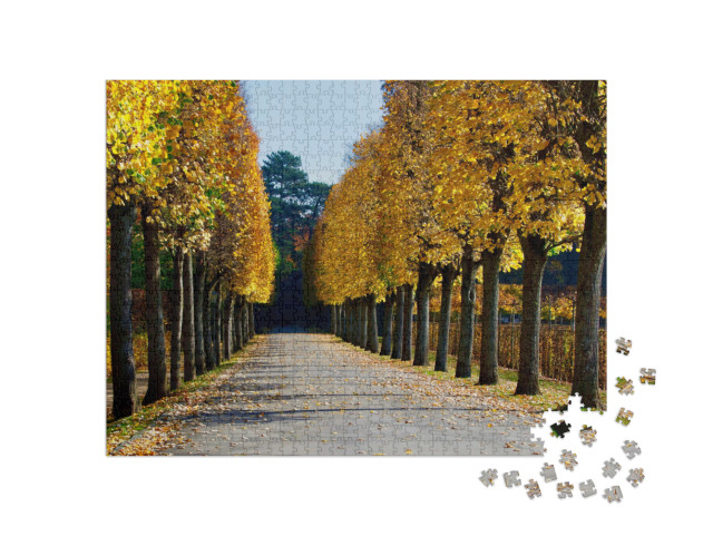 Puzzle 1000 pezzi „Vista autunnale di un vicolo dell'Hermitage di Bayreuth, Germania“